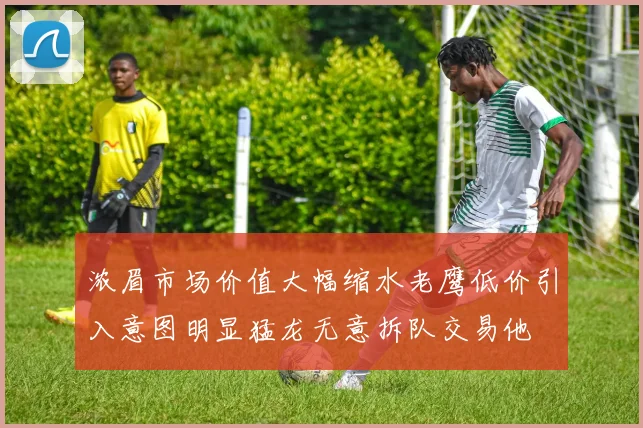 浓眉市场价值大幅缩水老鹰低价引入意图明显猛龙无意拆队交易他