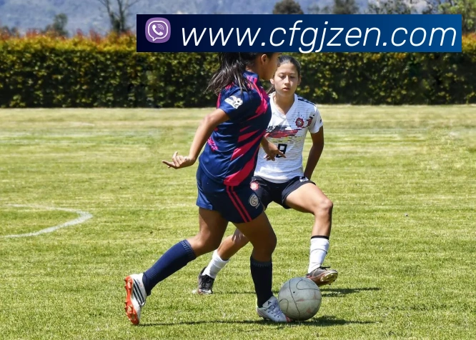 超凡国际平台生态图